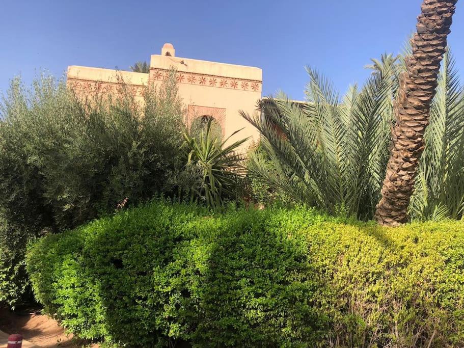 Palmeraie Marrakesh